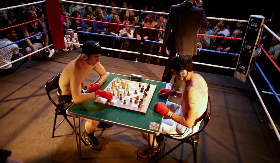 шахбокс бои. ипе рубинг. шахбокс вид спорта. чессбоксинг. шахбокс.
