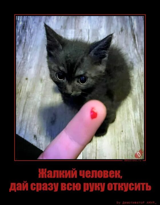 Рука до локтя. Рука ладонью вверх. Содружество балаково. Раскрытые ладони. Дай палец по локоть откусит.