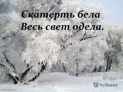Снег белая скатерть