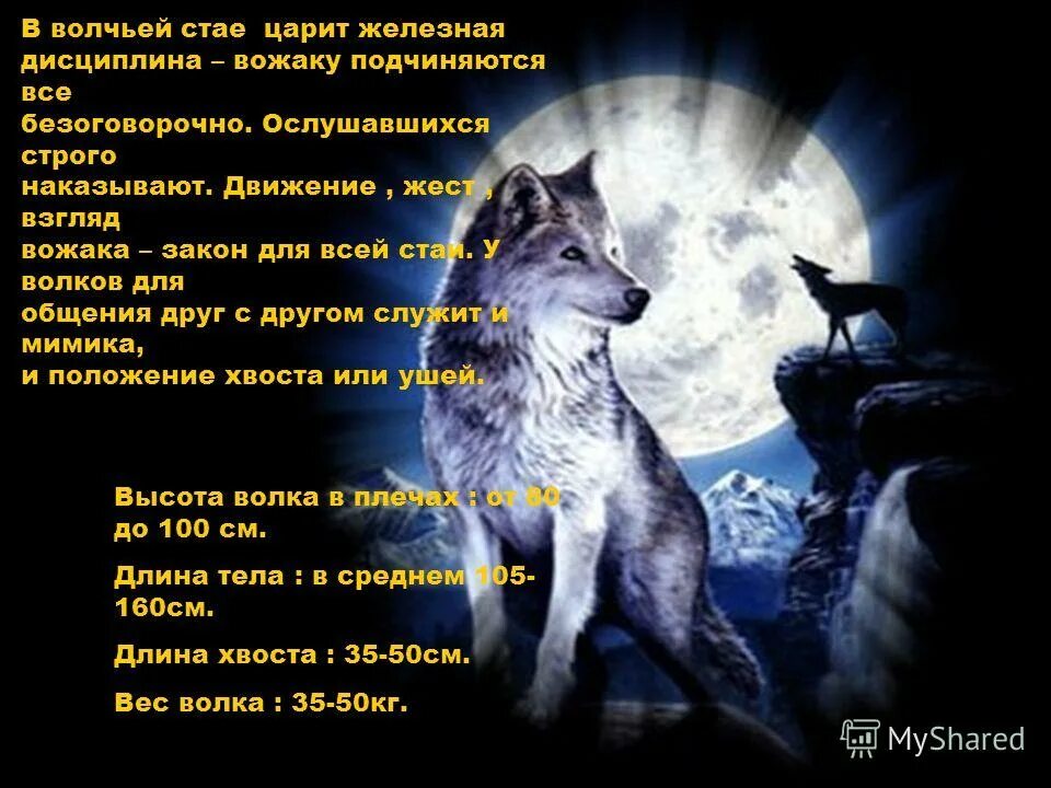 стих вы знаете.