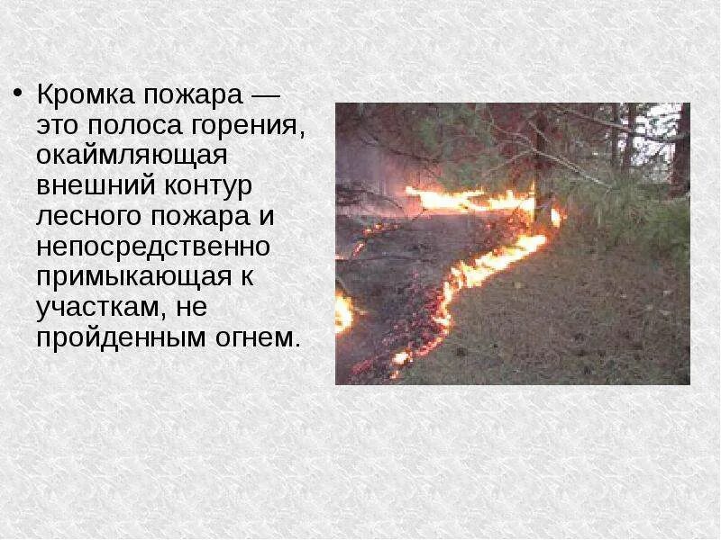 После костров оранжевые пятна. Захлестывание огня по кромке пожара. Захлестывание огня. Тушение лесных пожаров захлестывание огня ветками. Кромка пламя.
