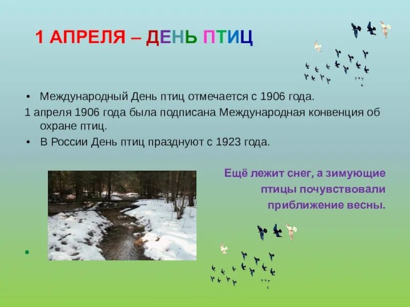 Еще две недели птицы. 1 Апреля день птиц. Апрель день птиц. Международный день защиты птиц. Стих про защиту птиц.