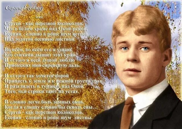 Поэзия сергея есенина. "стихи". Есенин стихи фото. Есенин с. Стихи есенина.