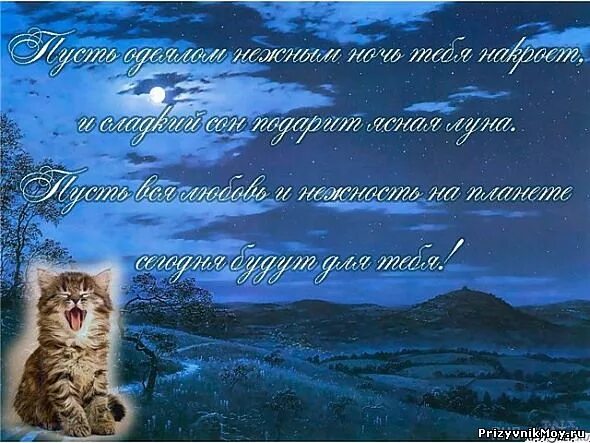 Спокойной рабочей. Открытка хорошей ночной смены. Пожелания спокойной ночной смены. Пожелание спокойной рабочей ночи. Пожелания хорошей ночной работы.