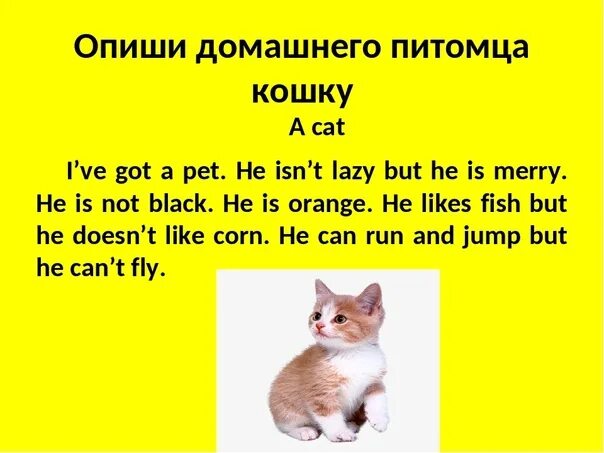 Написать питомца по английскому. Английский язык 3 класс рассказ о животном. Рассказ о своем питомце на английском. Рассказать о своем питомце на англ языке. Описать своего питомца.