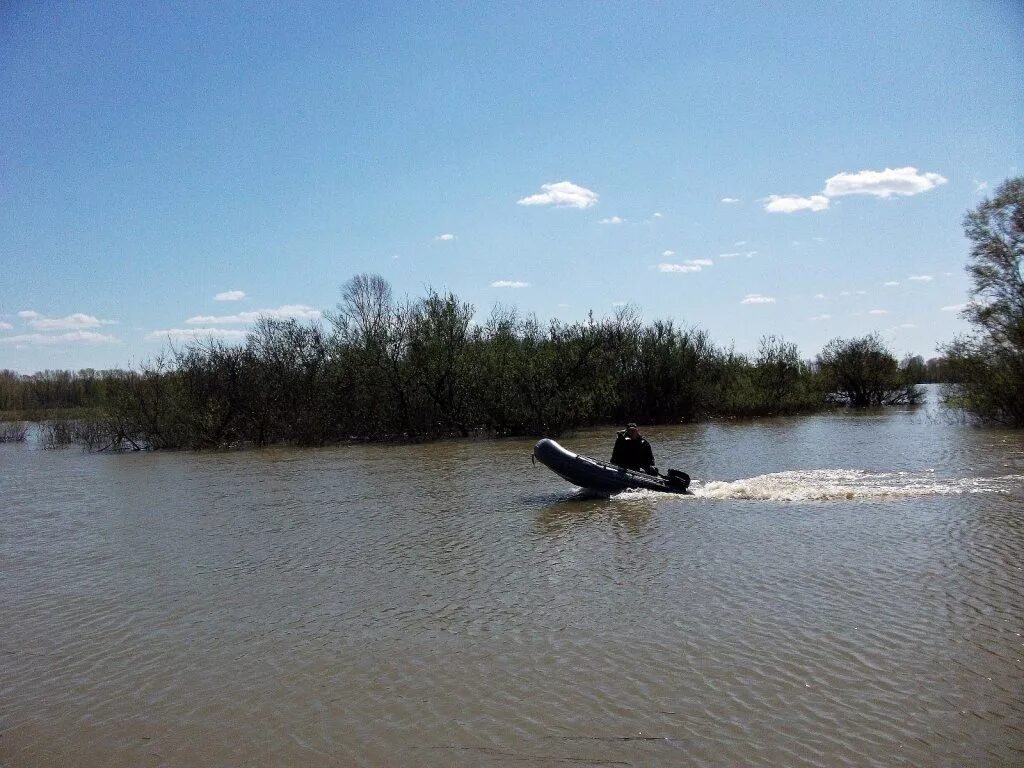 Уровень воды в реке чумыш в тальменке. Озера Чумыш Тальменский. Чумыш Алтайский край. Исток реки Чумыш.