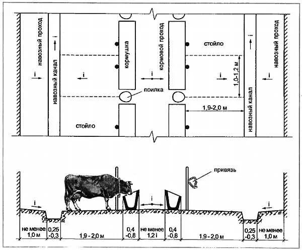 Размер стойла для коровы привязной Тип. Стойло для коров чертежи. Сарай для коров чертежи и Размеры. Размеры стойла для КРС при привязном содержании. Читать краткое содержание корова