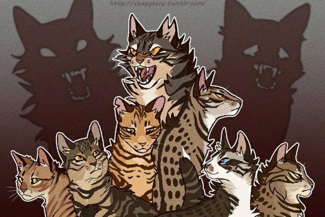 коты воители позы для рисования. коты воители схема. картинки котов воителей для срисовки. коты воители референсы эмоции. рисование котов воителей поэтапно.