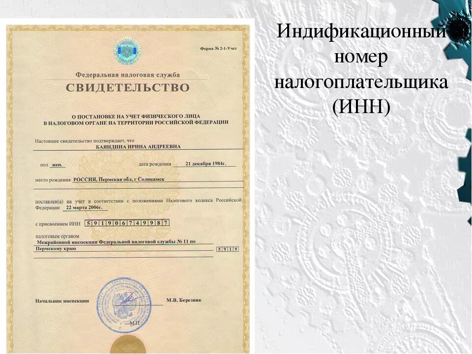 Где получит ннн