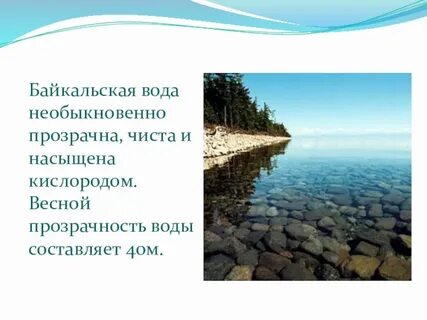 Байкальский заповедник доклад