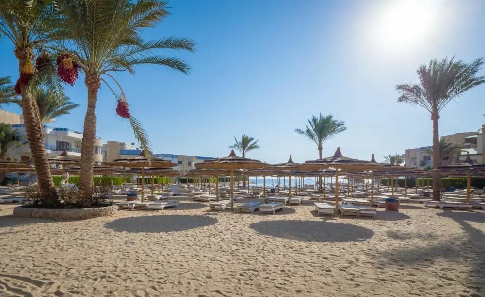 Sea Gull 4 Египет. Отель Сигал Египет. Сигал Бич Хургада. Отель Hurghada Seagull Beach Resort 4*.