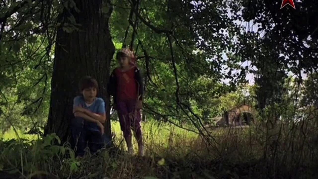 Бабочка морковница. Обыкновенным летом. Крапивница цветок. Обыкновенным летом. Тайна егора 2.