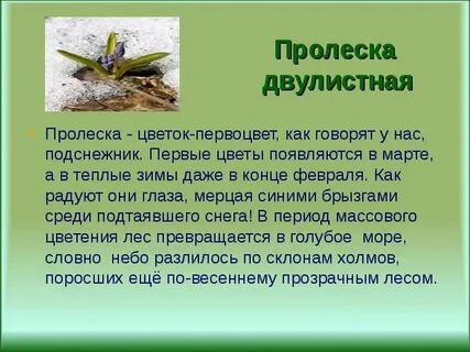 Весеннее пробуждение растений 2 класс окружающий мир