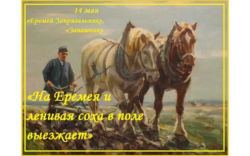 Время 14 мая