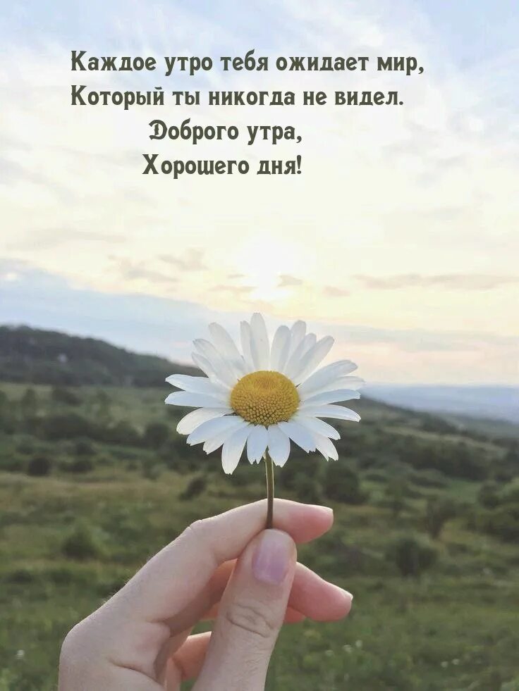 Жизнь продолжается доброго дня