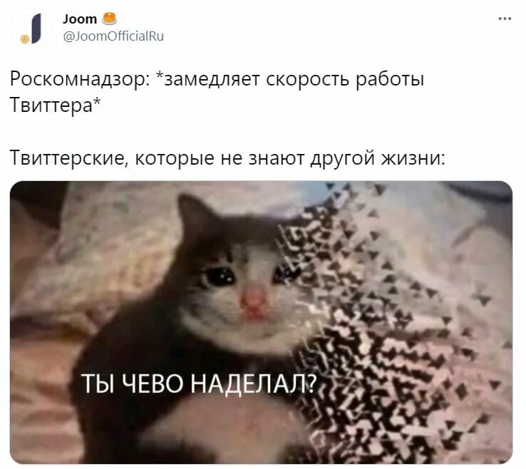 Twitter meme. Мемы с твиттера. Мемы в Твиттере. Лучшие мемы Твиттер. Роскомнадзор замедлил скорость.