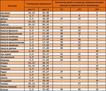 Через сколько прорастает морковь
