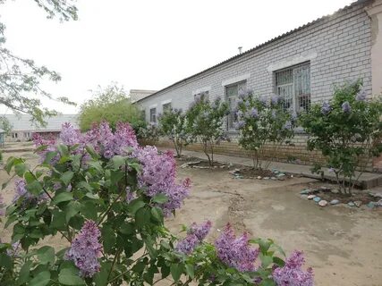 Волжский бульвар психоневрологический