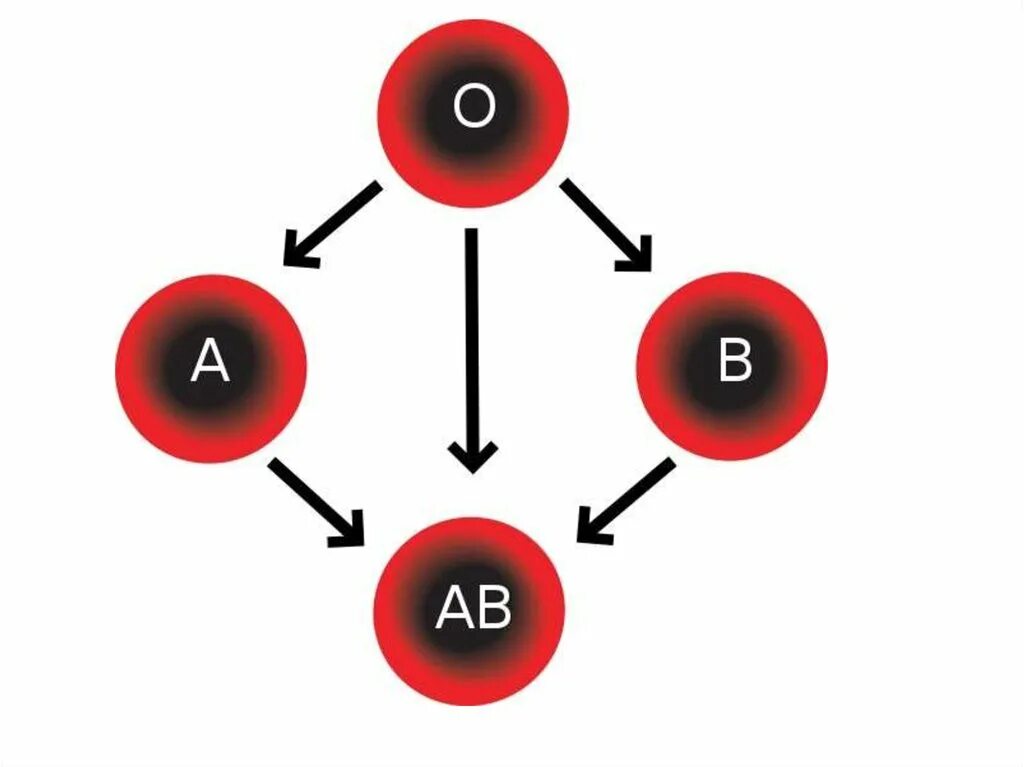 Схема переливания крови. Универсальная схема переливания крови. Группы крови на белом фоне. Группы крови картинки. Схема совместимости групп крови