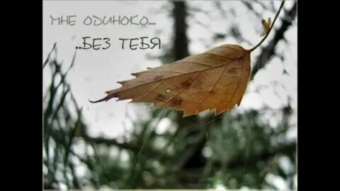 Картинка я без тебя не живу