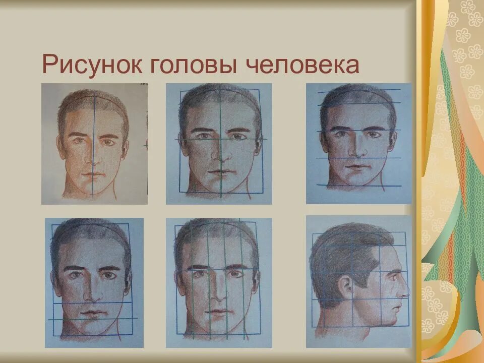 Изображение головы человека 6 класс. Этапы рисования головы человека. рисунок головы человека 6 класс. портрет человека 6 класс. образы в голове человека.