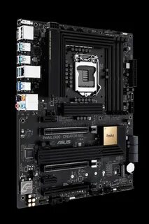 Asus proart creator