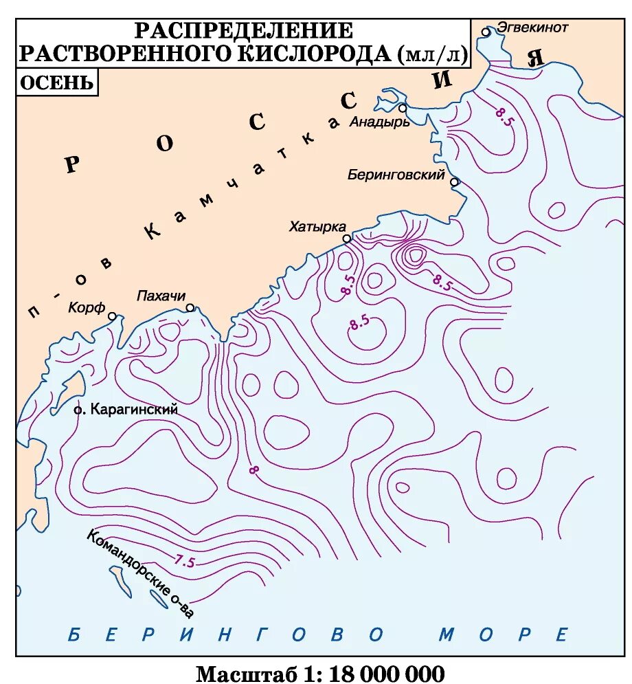 Береговая линия берингово. Берингово море. Берингово море географическое положение. Берингово море на карте. Реки впадающие в Берингово море.