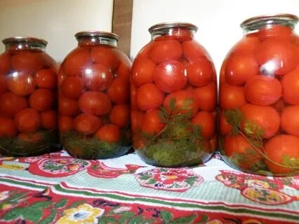 Сколько хранят маринованные помидоры