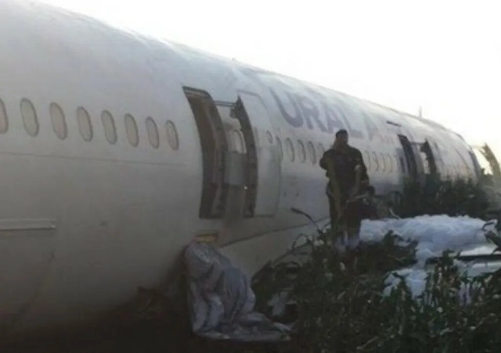 A321 под жуковским. Аварийная посадка a321 под жуковским. салон в а321 на кукурузном поле. москва крым самолет сел в поле. аирбас упал в кукурузное поле.