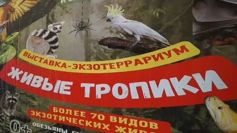 Живые тропики