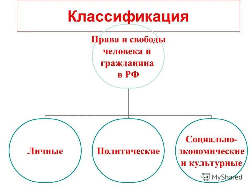программный документ партии. права и обязанности политических партий. гос-во и политические партии. особенности конституционно-правового статуса политических партий. политическая партия основы правового статуса.