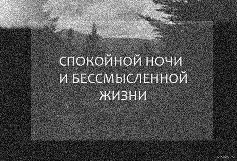 Живу бессмысленной жизнью