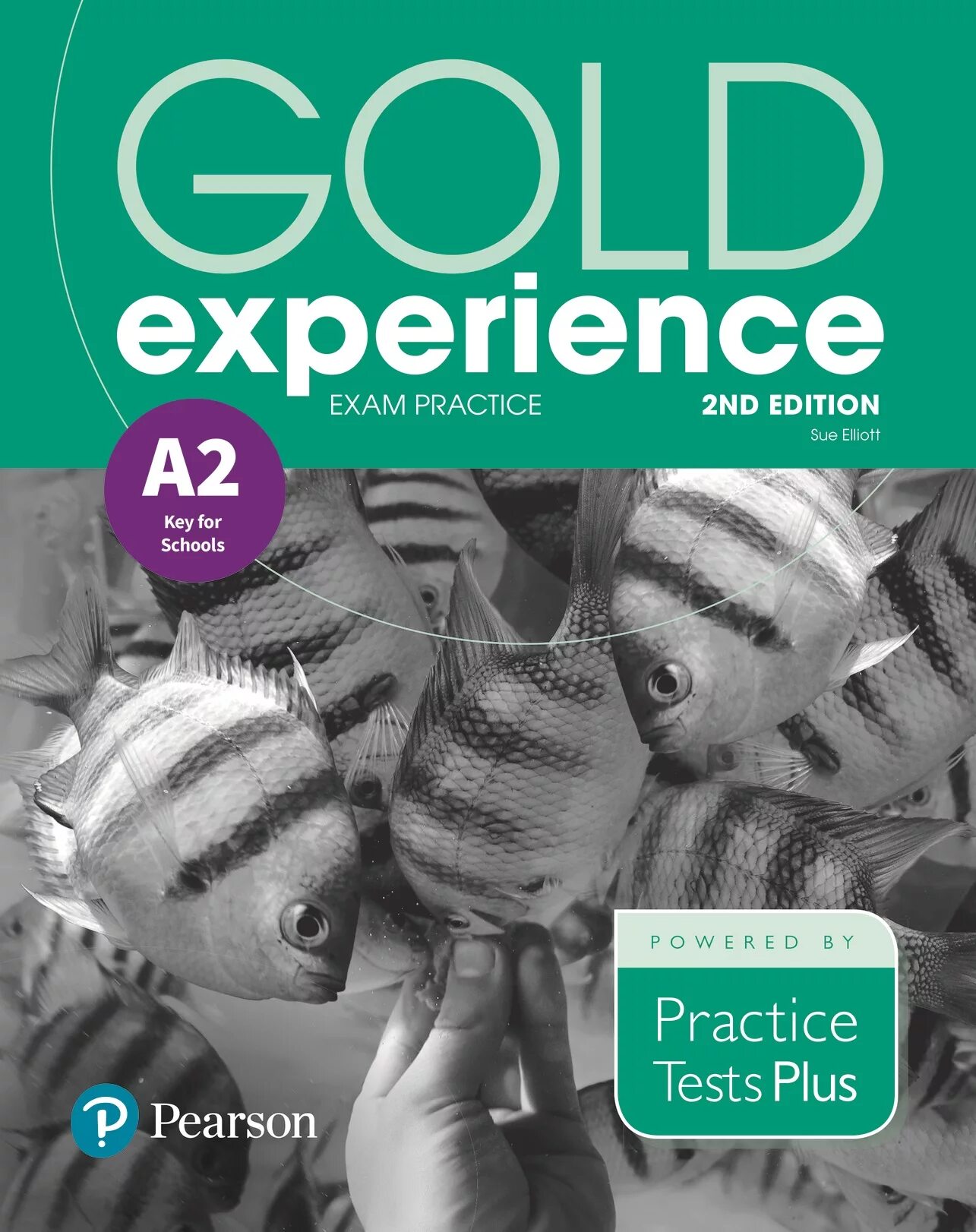 Experience 2. Gold experience 2nd edition a2+. gold experience книга. учебник gold experience a1. gold experience student&#039;s book 2nd edition a1 обложка.