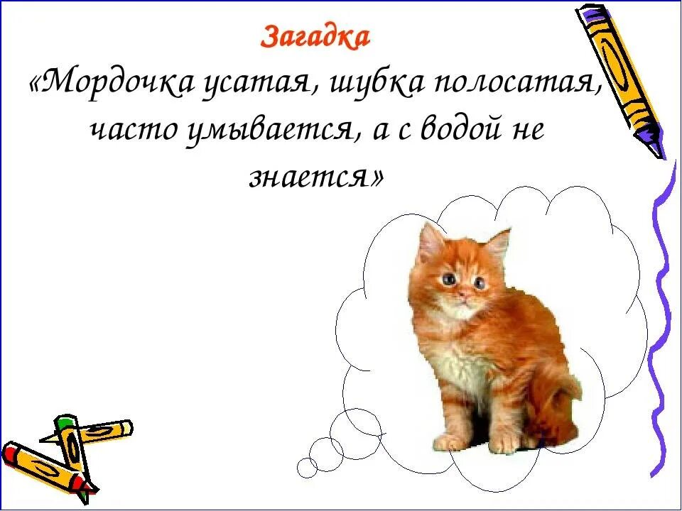 Мохнатенькая усатенькая лапки. Загадка про кота для детей. Загадки про Ноты. Загадка про котика. Загадка про кошку для детей.