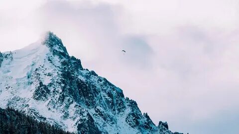 Виднелось в верху