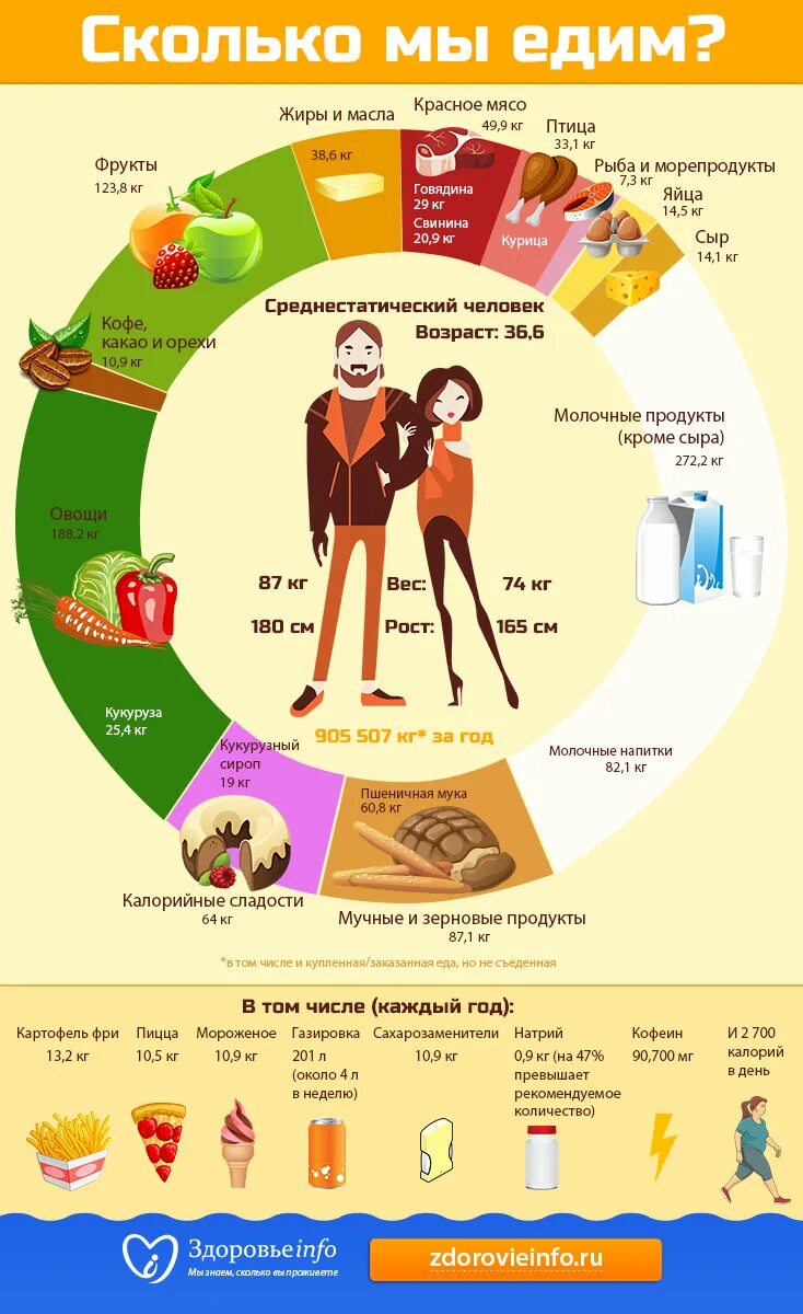 Сколько времени надо кушать. Полезная инфографика. Инфографика продукты. Инфографика по правильному питанию. Инфографика еда.