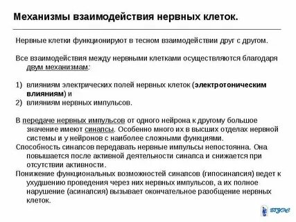 Как взаимодействуют нервная