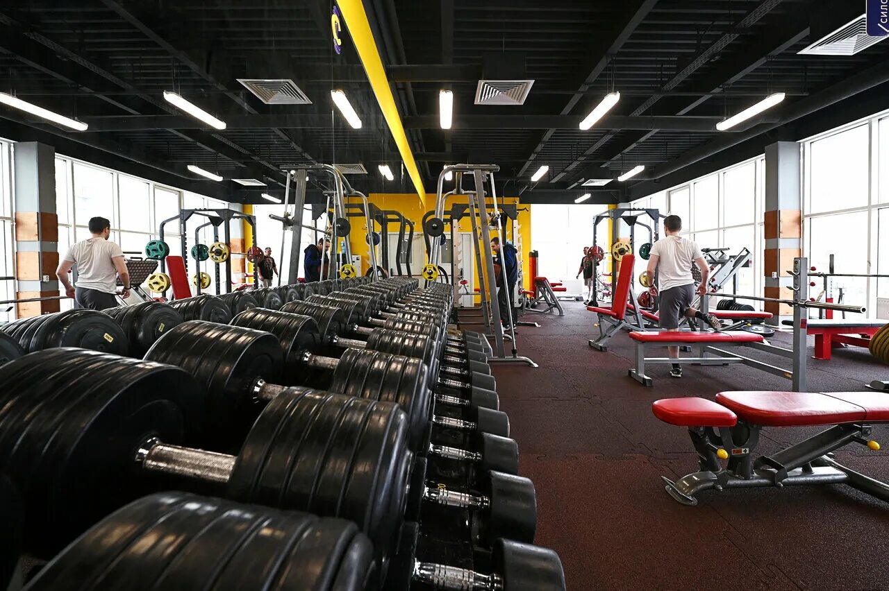 Фитнес маяковская 2 королев. Фитнес в королеве королев. Фитнес в королеве королев. Космонавт фитнес. Фитнес эго королев пионерская.