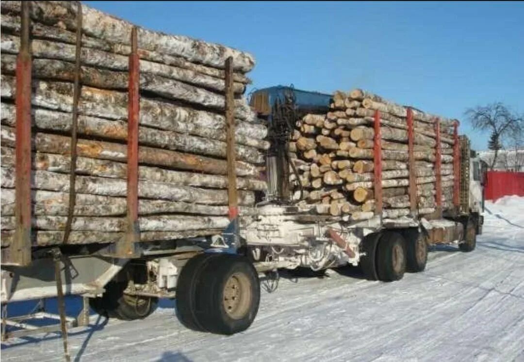 Камаз 4310 лесовоз с краном. Лесовоз с березой. Машина на дровах. Дрова долготье осина береза. Лесовоз с дровами камаз.