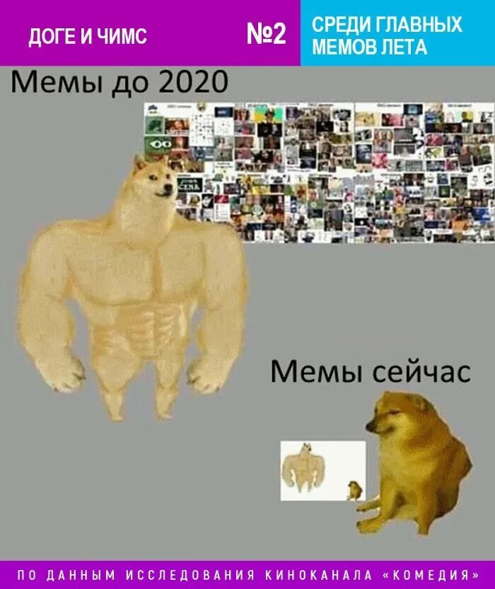 Эволюция собак мемов играть
