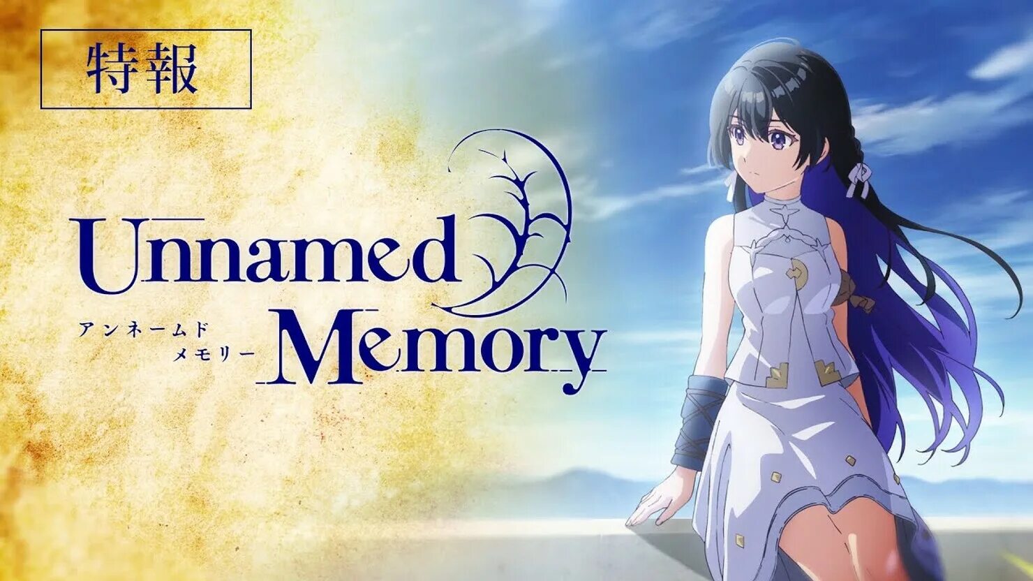 Unnamed memory. Unnamed memory