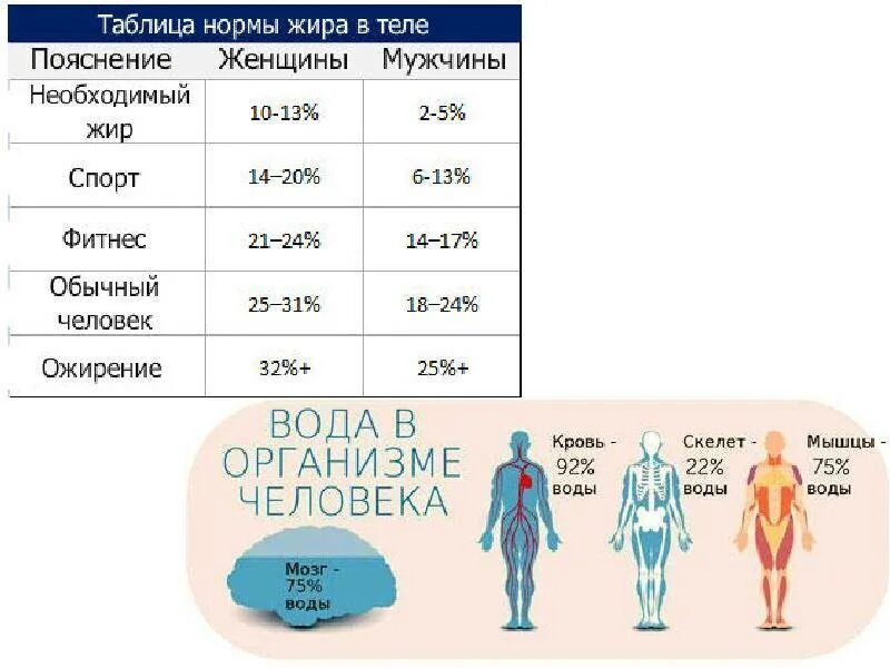 Процент воды норма. Процентное соотношение воды мышечной и жировой ткани норма. Таблица процентного содержания воды в организме человека. Таблица содержания жира в организме человека. Таблица процентного содержания жира в организме человека.