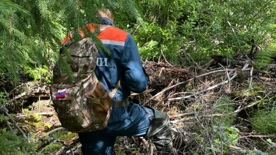 Парень пропавший в лесу. Человек заблудился в лесу. потерялся в лесу. трупы пропавших людей в лесу. сеня спасатель лесу.