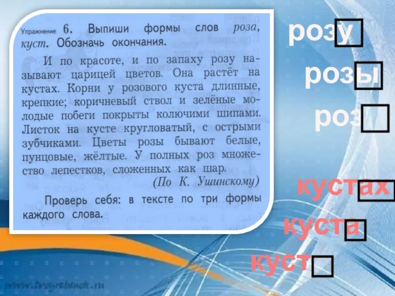 Окончание слова роз. Выпиши формы слова.