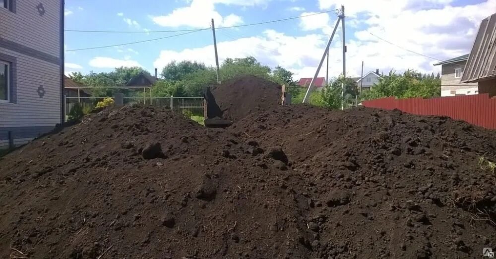 Чернозем цена за 1 м3. Чернозем полевой. Плодородная земля. Земля огород. Плодородный грунт.