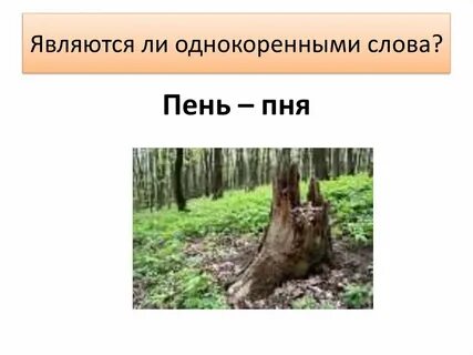 Звуковое слово пень