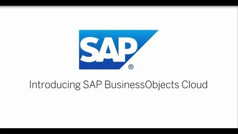 Sap partner