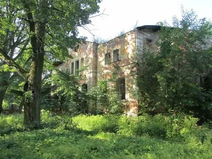 Жабино гатчинский