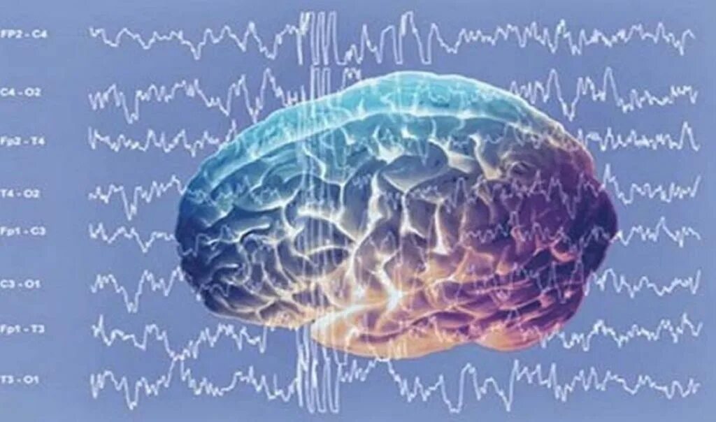 Во время деятельность мозга. Ритмы мозга Альфа бета тета Дельта ритмы. Гамма ритмы головного мозга на ЭЭГ. Бета ритм головного мозга. Волны мозга человека.