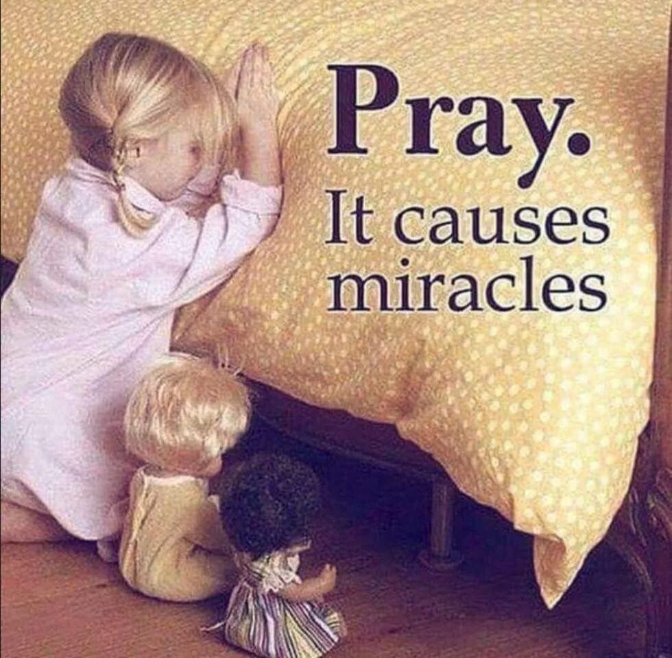 Маленькие радости жизни цитаты. Чудо хочешь быть. Просто живите и радуйтесь жизни. Смешной йогурт. Статусы про чудо.